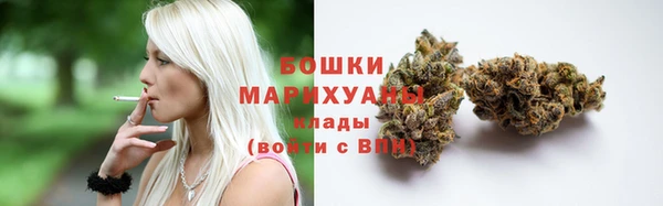 PSILOCYBIN Слюдянка