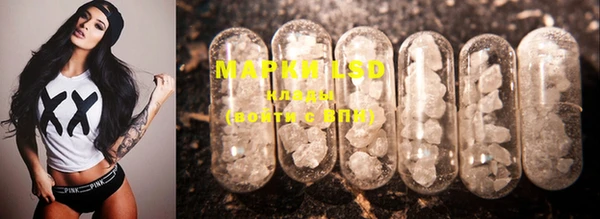PSILOCYBIN Слюдянка
