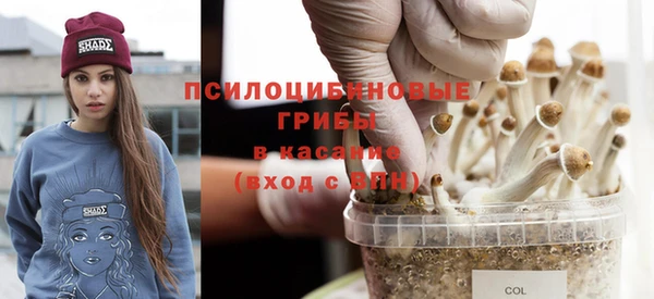 PSILOCYBIN Слюдянка