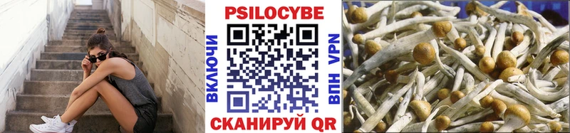 где продают наркотики Алзамай Псилоцибиновые грибы MAGIC MUSHROOMS